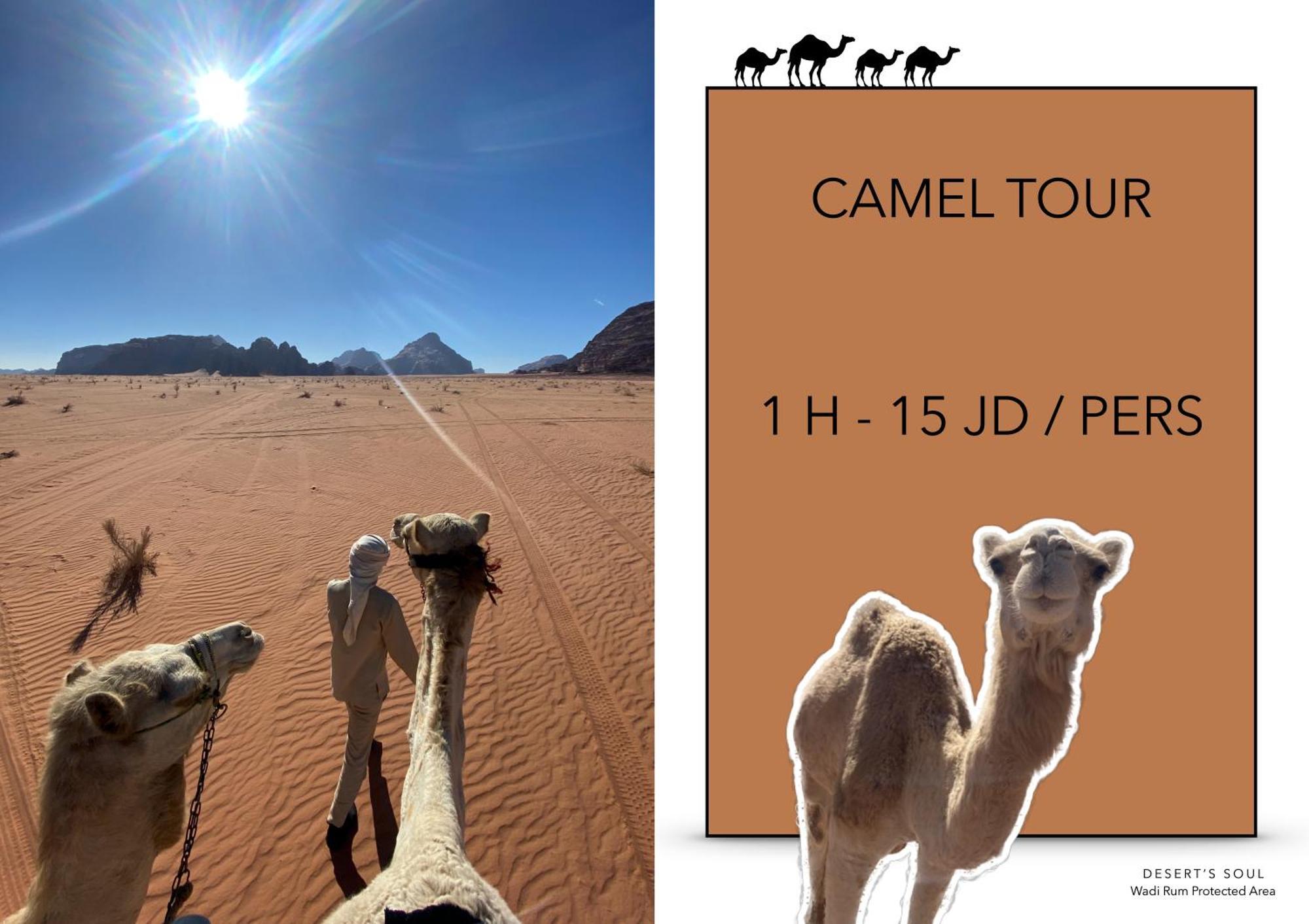 Desert'S Soul Wadi Rum Ad Disah Екстериор снимка