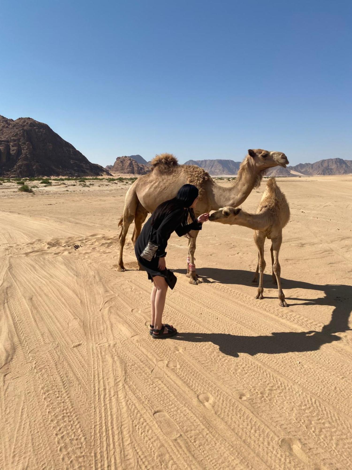 Desert'S Soul Wadi Rum Ad Disah Екстериор снимка